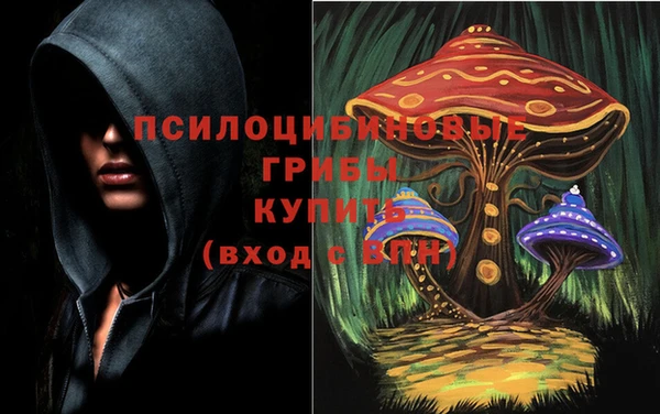 a pvp Балахна