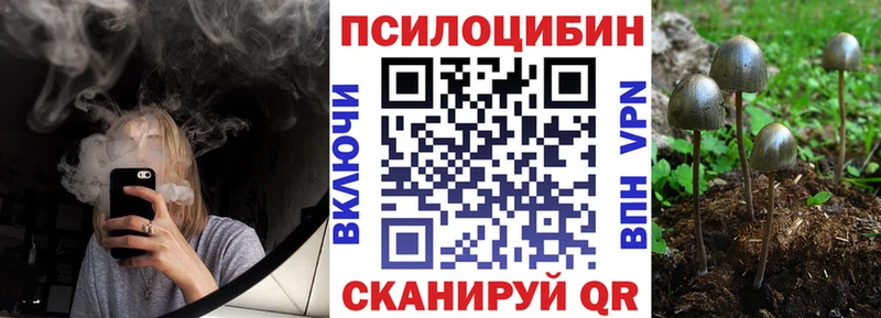 хочу наркоту  Сегежа  Галлюциногенные грибы MAGIC MUSHROOMS 